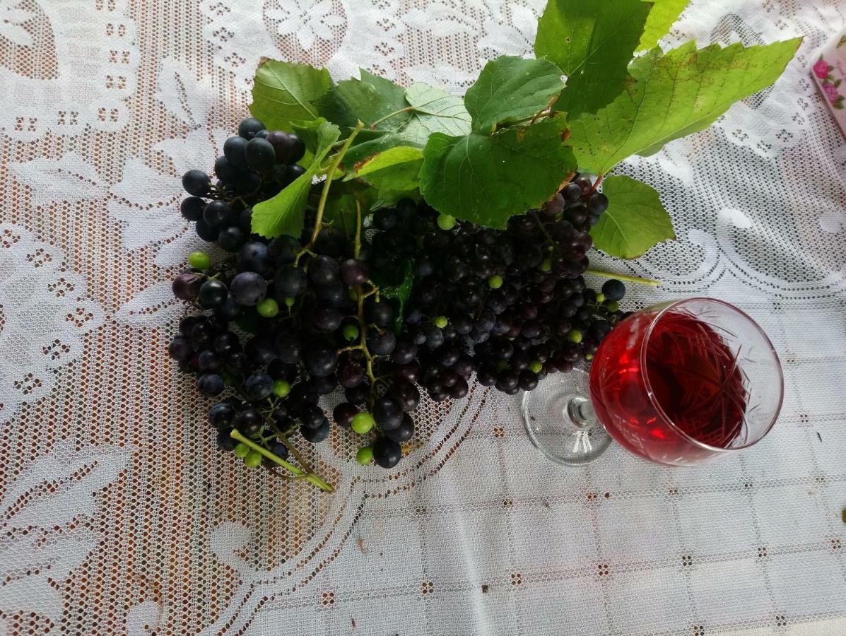 Guest House And Cellar Winery In Ortabatumi Batumi Georgia Luaran gambar