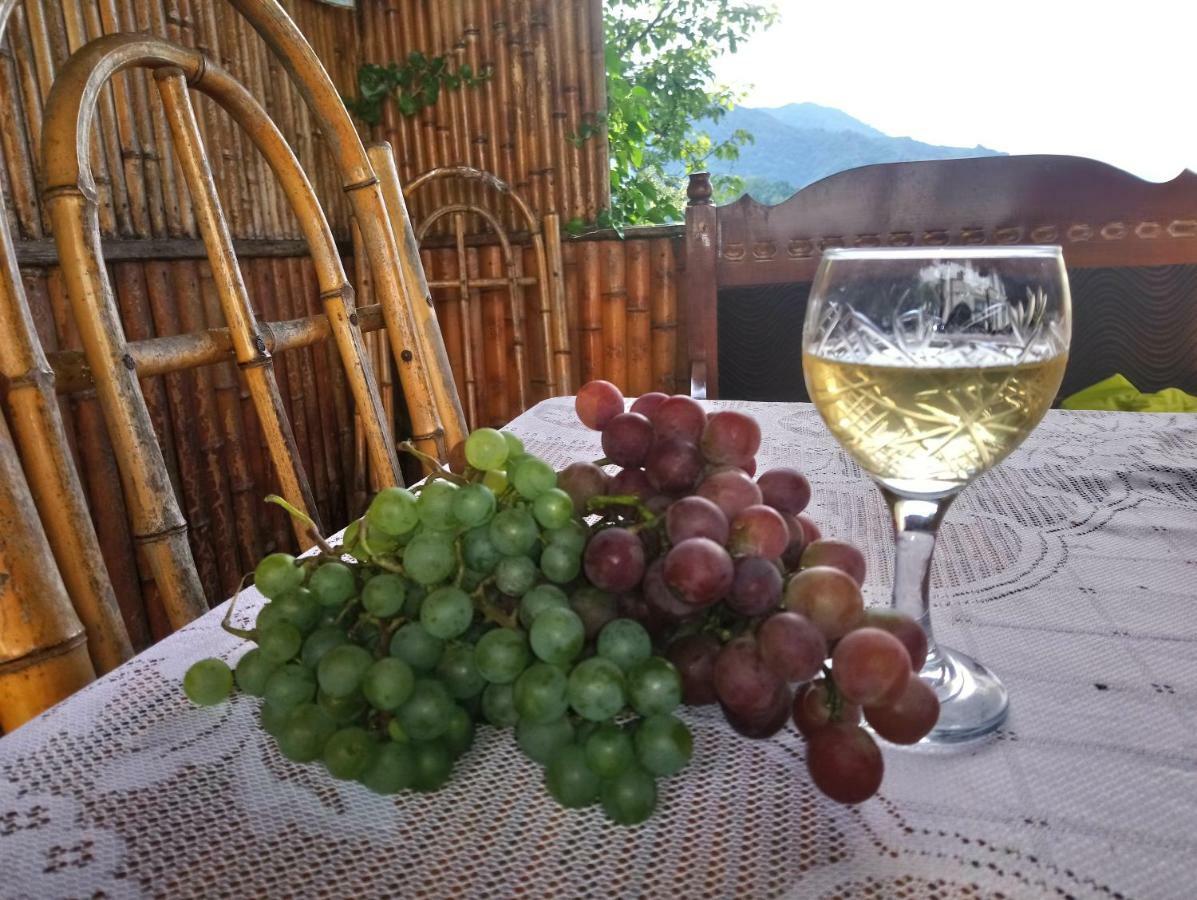 Guest House And Cellar Winery In Ortabatumi Batumi Georgia Luaran gambar